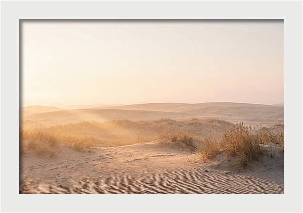 Golden Hour Over Curonian Dunes