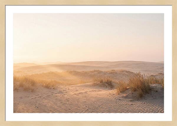 Golden Hour Over Curonian Dunes