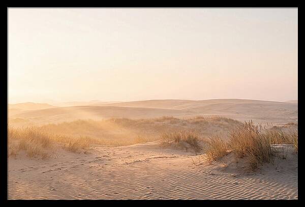Golden Hour Over Curonian Dunes