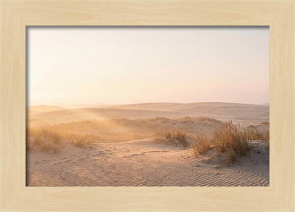 Golden Hour Over Curonian Dunes