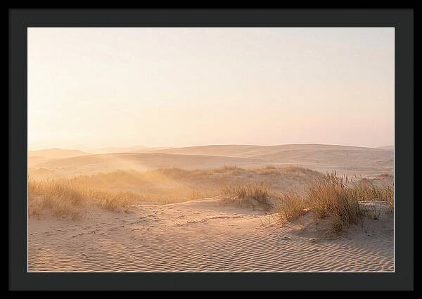Golden Hour Over Curonian Dunes