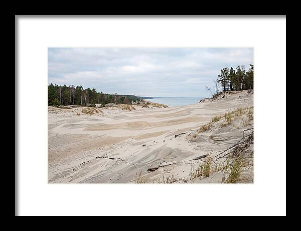 Golden Hour Over Curonian Spit Dunes