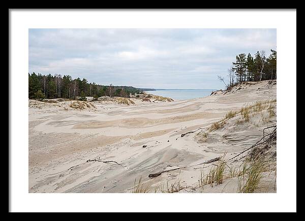 Golden Hour Over Curonian Spit Dunes