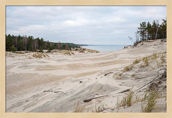 Golden Hour Over Curonian Spit Dunes