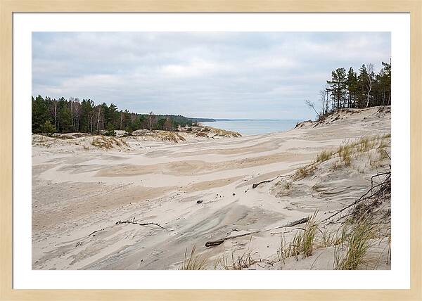 Golden Hour Over Curonian Spit Dunes