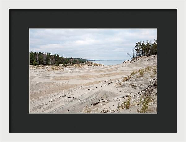 Golden Hour Over Curonian Spit Dunes