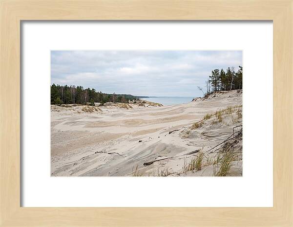 Golden Hour Over Curonian Spit Dunes