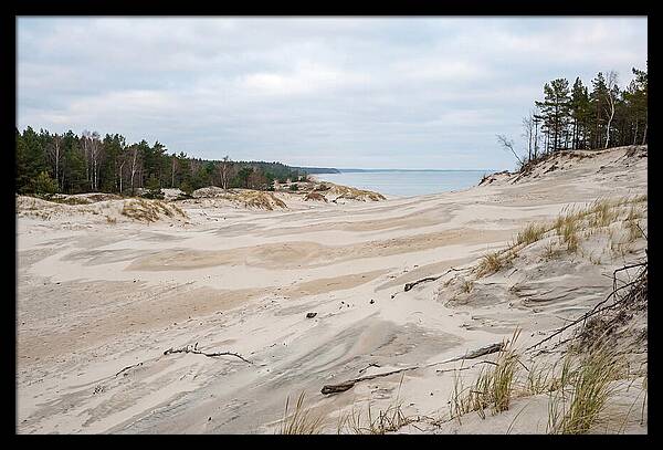 Golden Hour Over Curonian Spit Dunes