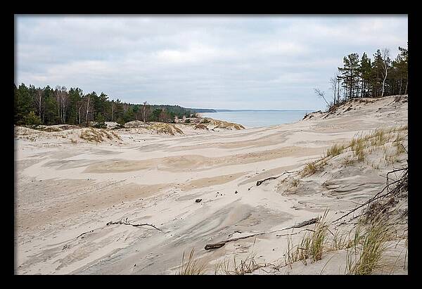 Golden Hour Over Curonian Spit Dunes