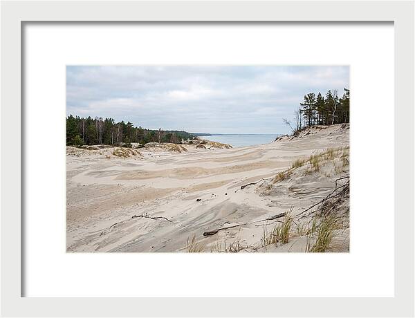 Golden Hour Over Curonian Spit Dunes