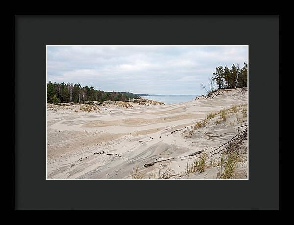 Golden Hour Over Curonian Spit Dunes