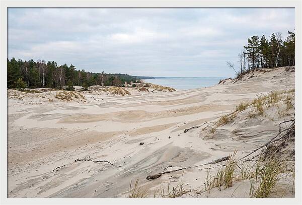 Golden Hour Over Curonian Spit Dunes