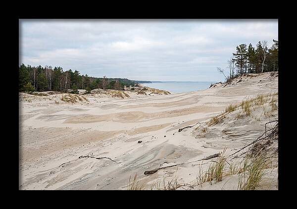 Golden Hour Over Curonian Spit Dunes