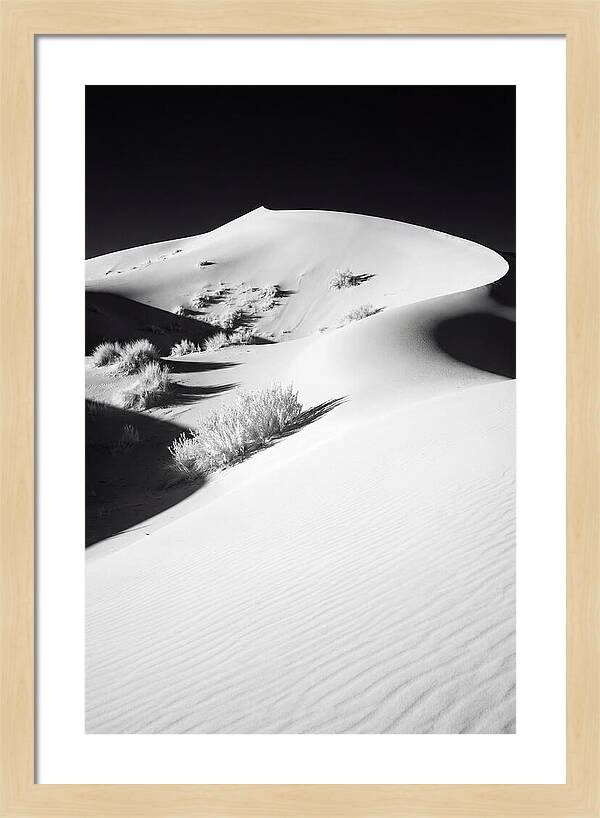 Golden Hour Over Erg Chebbi Dunes