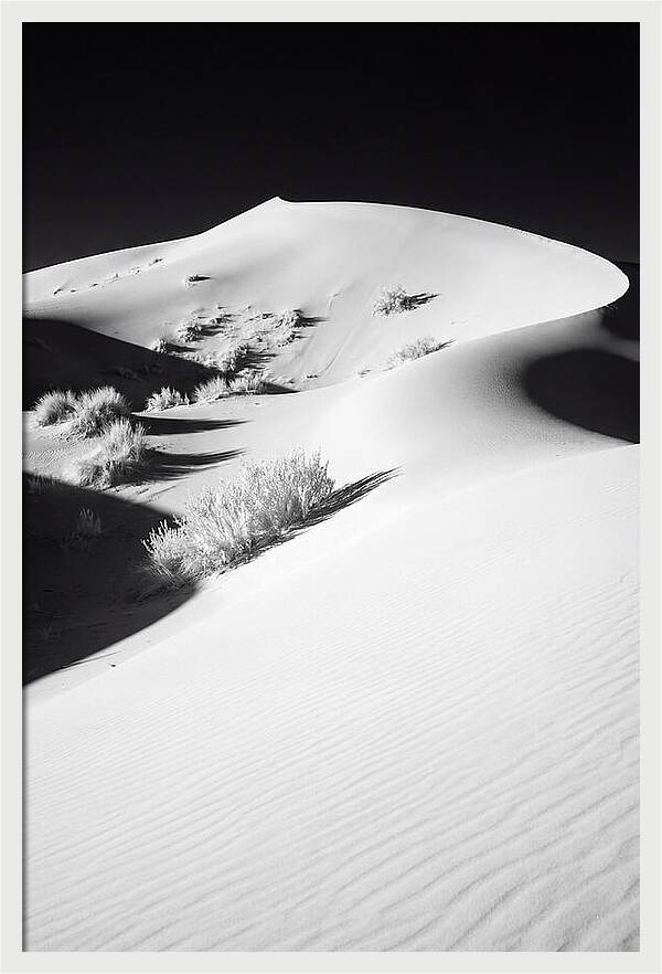 Golden Hour Over Erg Chebbi Dunes