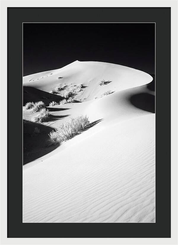 Golden Hour Over Erg Chebbi Dunes