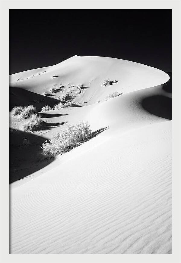 Golden Hour Over Erg Chebbi Dunes
