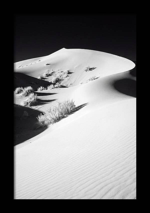 Golden Hour Over Erg Chebbi Dunes