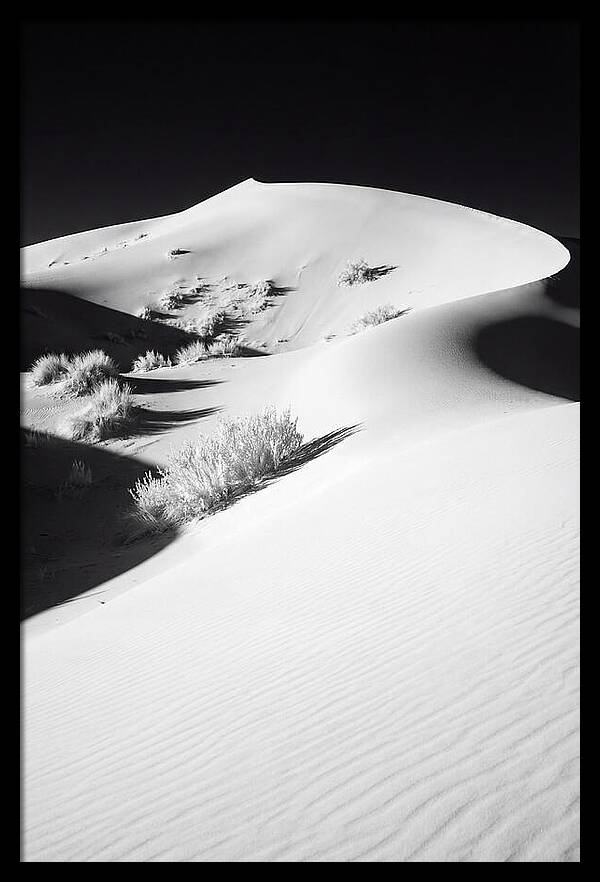 Golden Hour Over Erg Chebbi Dunes