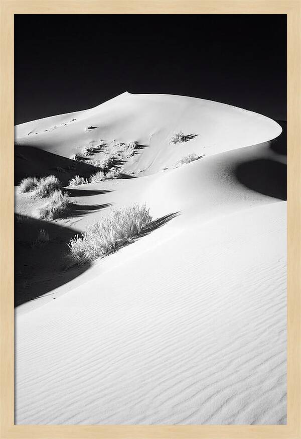 Golden Hour Over Erg Chebbi Dunes