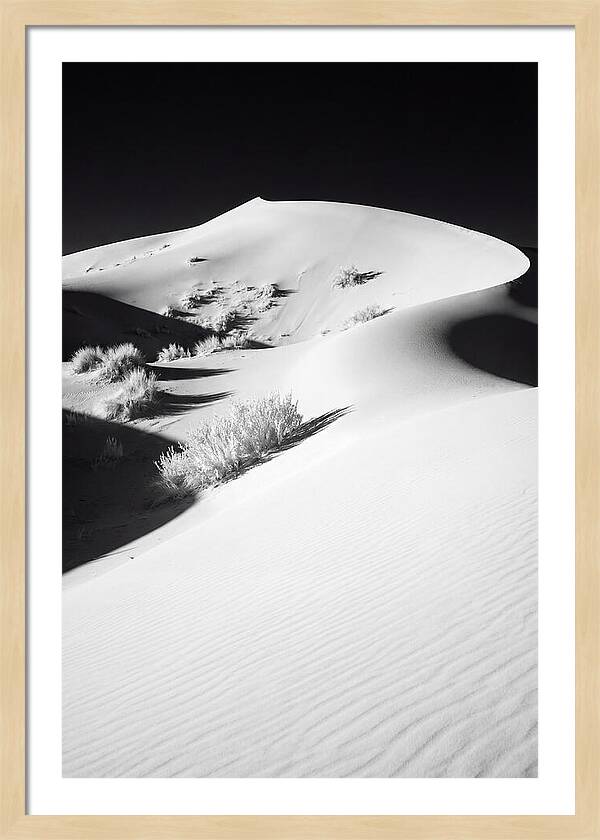 Golden Hour Over Erg Chebbi Dunes