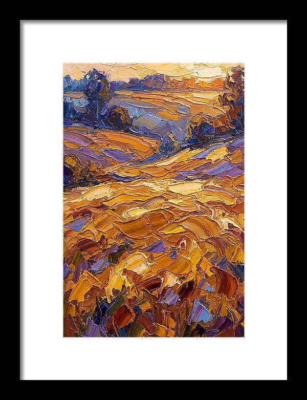 Golden Hour Over Fields