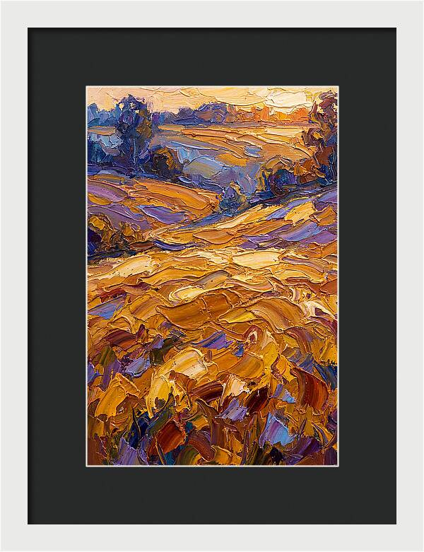 Golden Hour Over Fields