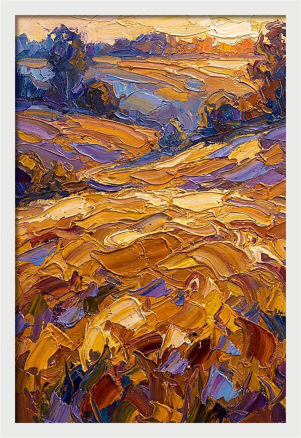 Golden Hour Over Fields
