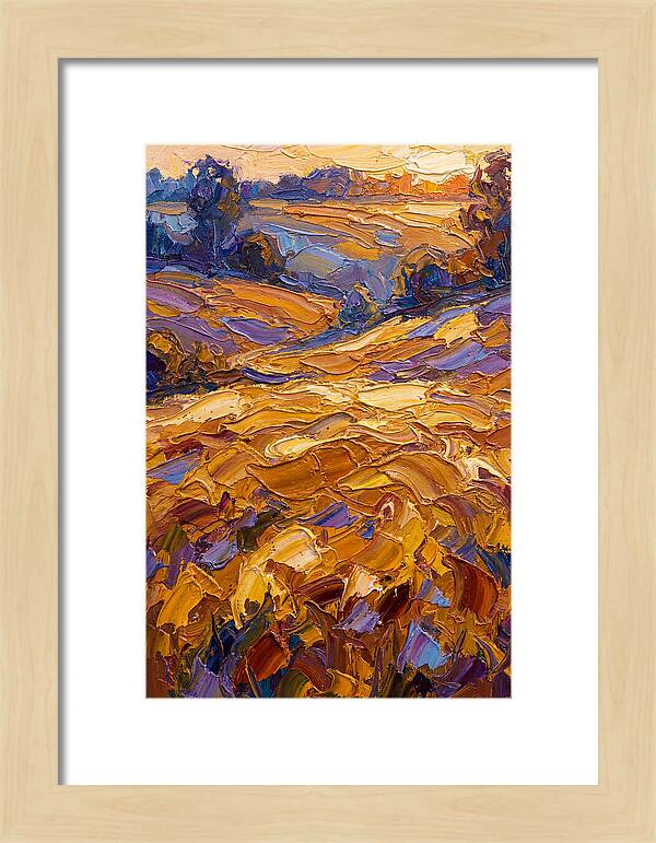 Golden Hour Over Fields