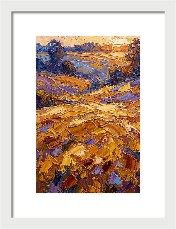 Golden Hour Over Fields