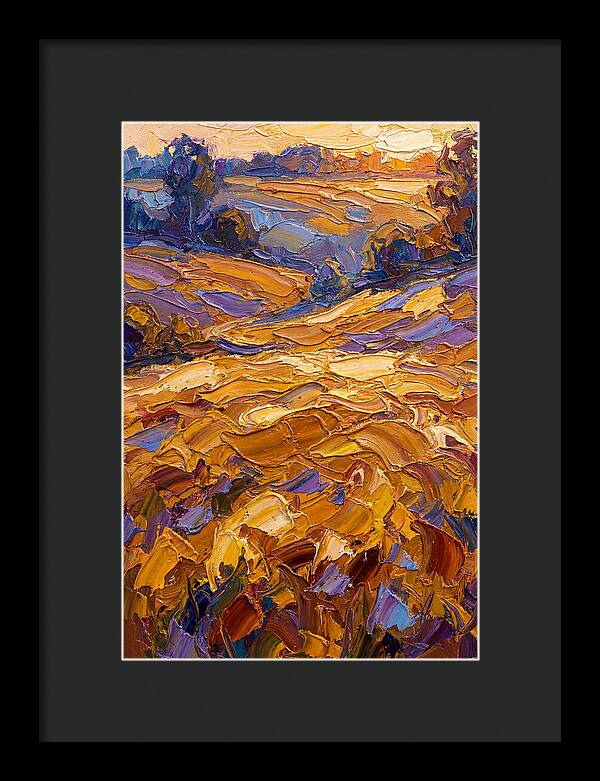 Golden Hour Over Fields