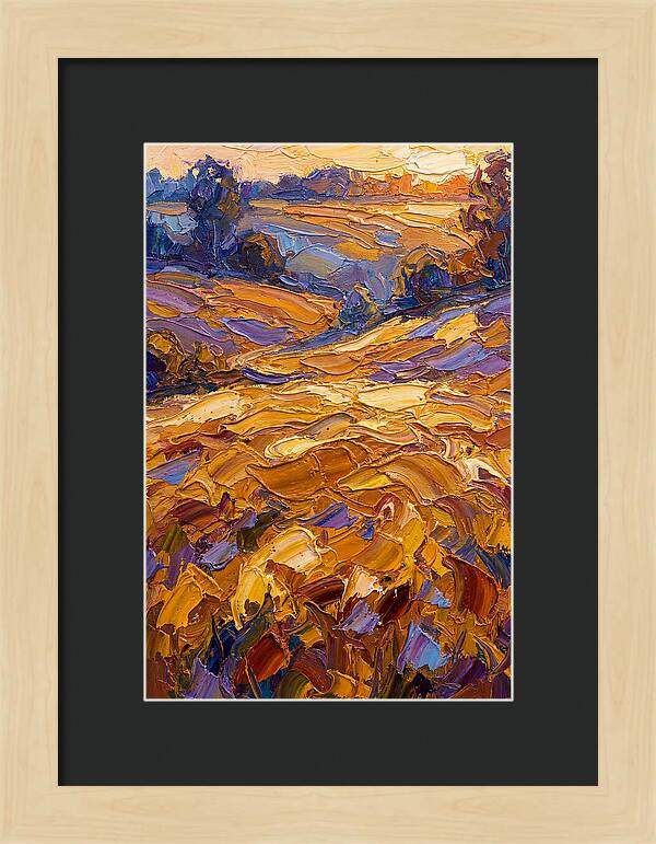 Golden Hour Over Fields