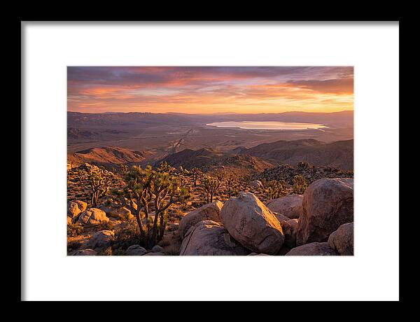 Golden Hour Over Joshua Tree