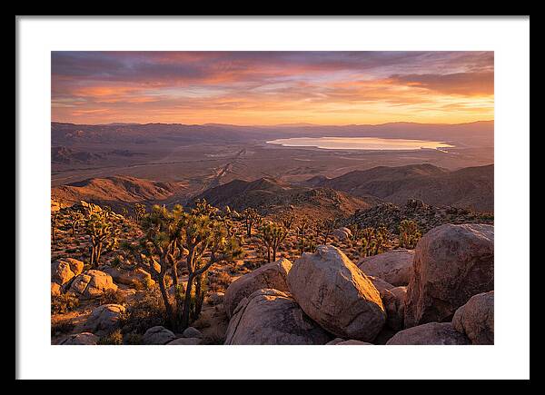 Golden Hour Over Joshua Tree