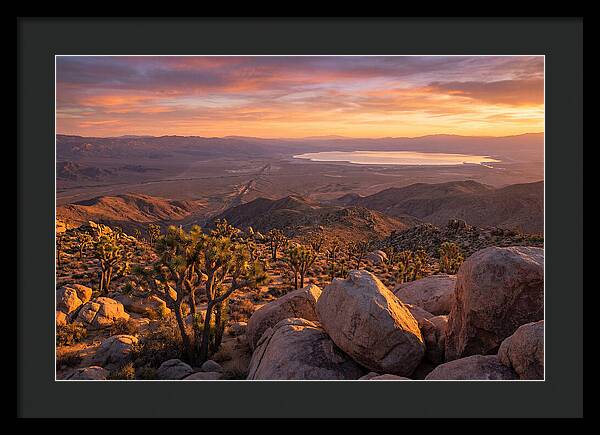 Golden Hour Over Joshua Tree