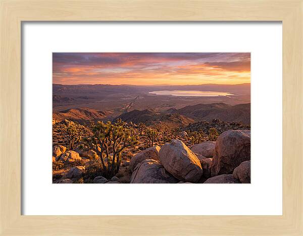 Golden Hour Over Joshua Tree