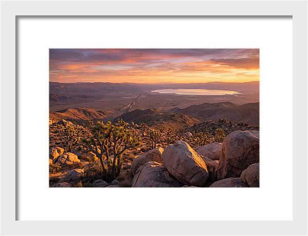 Golden Hour Over Joshua Tree
