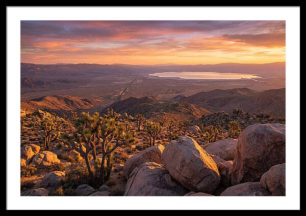 Golden Hour Over Joshua Tree