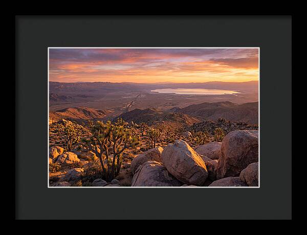 Golden Hour Over Joshua Tree