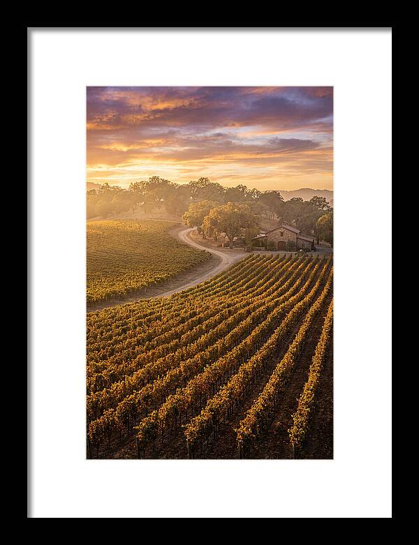 Golden Hour Over Napa Valley