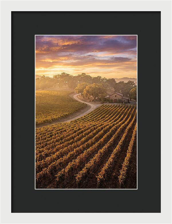 Golden Hour Over Napa Valley