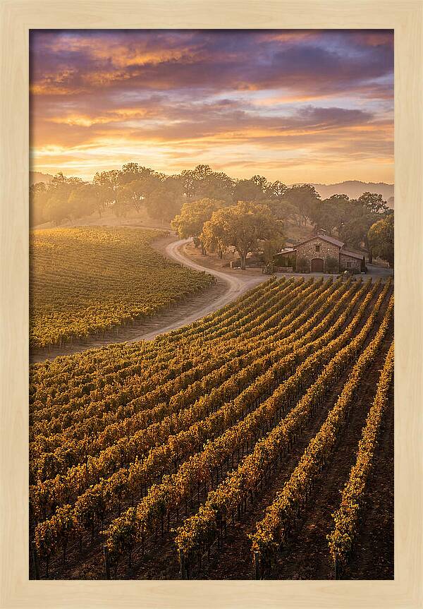 Golden Hour Over Napa Valley
