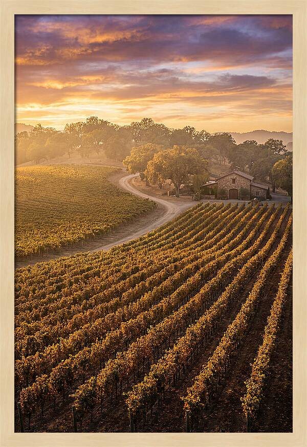 Golden Hour Over Napa Valley