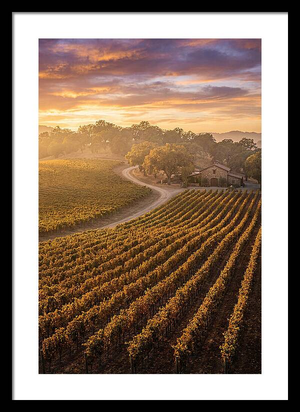 Golden Hour Over Napa Valley