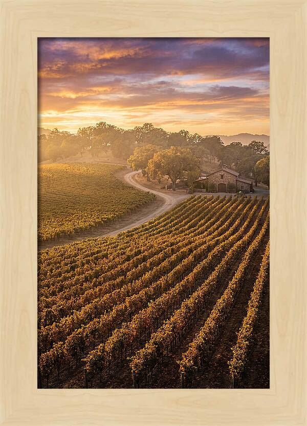 Golden Hour Over Napa Valley
