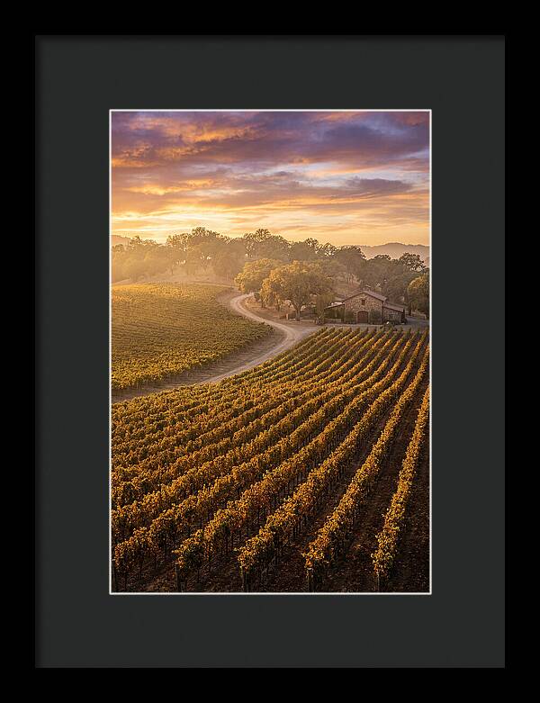 Golden Hour Over Napa Valley