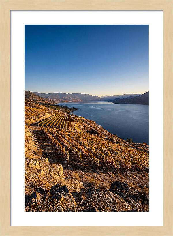 Golden Hour Over Okanagan Lake