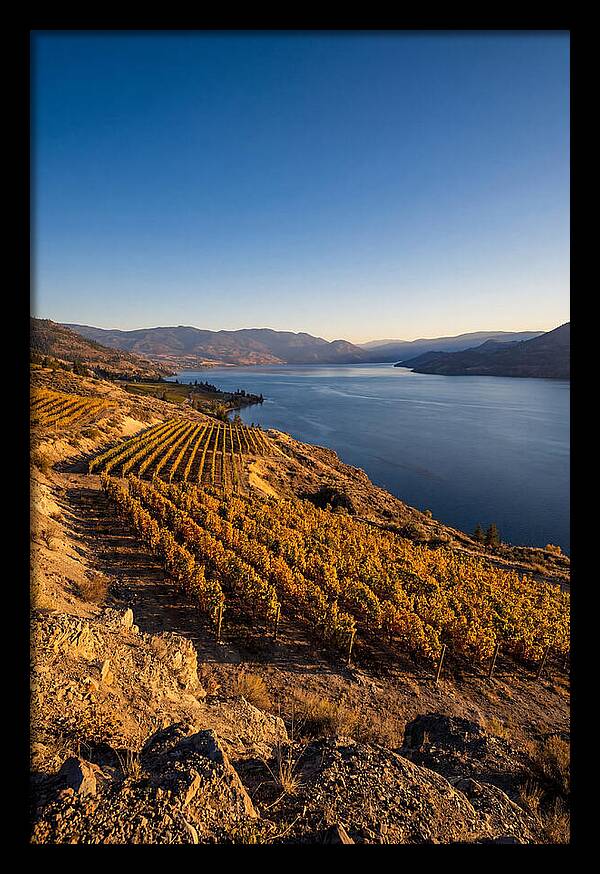 Golden Hour Over Okanagan Lake
