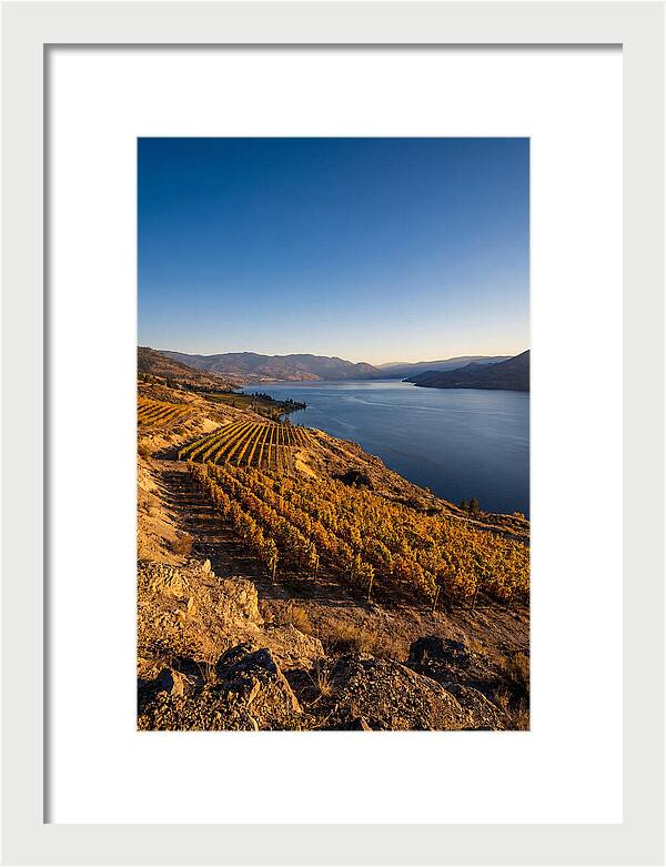 Golden Hour Over Okanagan Lake