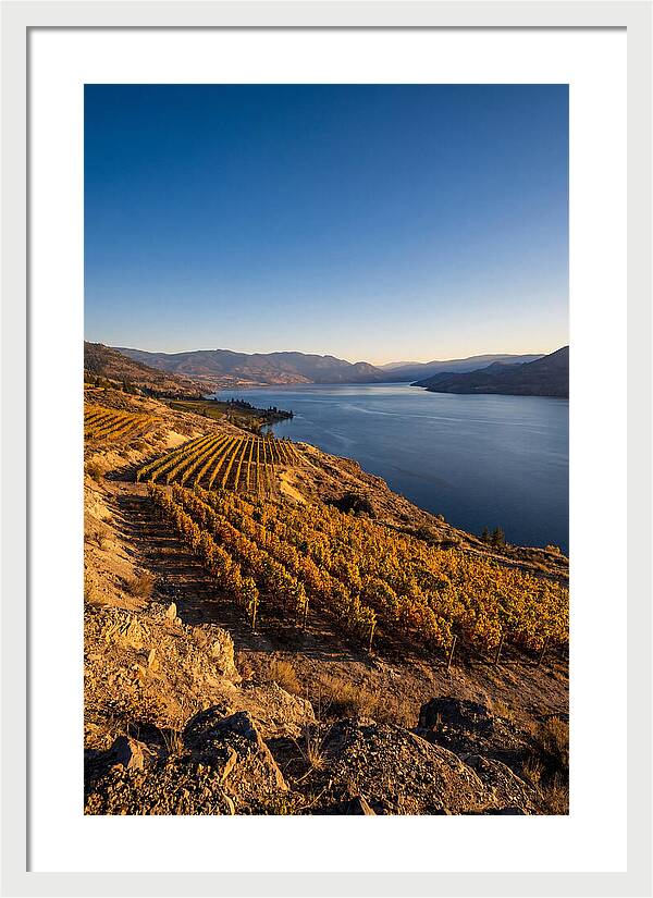Golden Hour Over Okanagan Lake